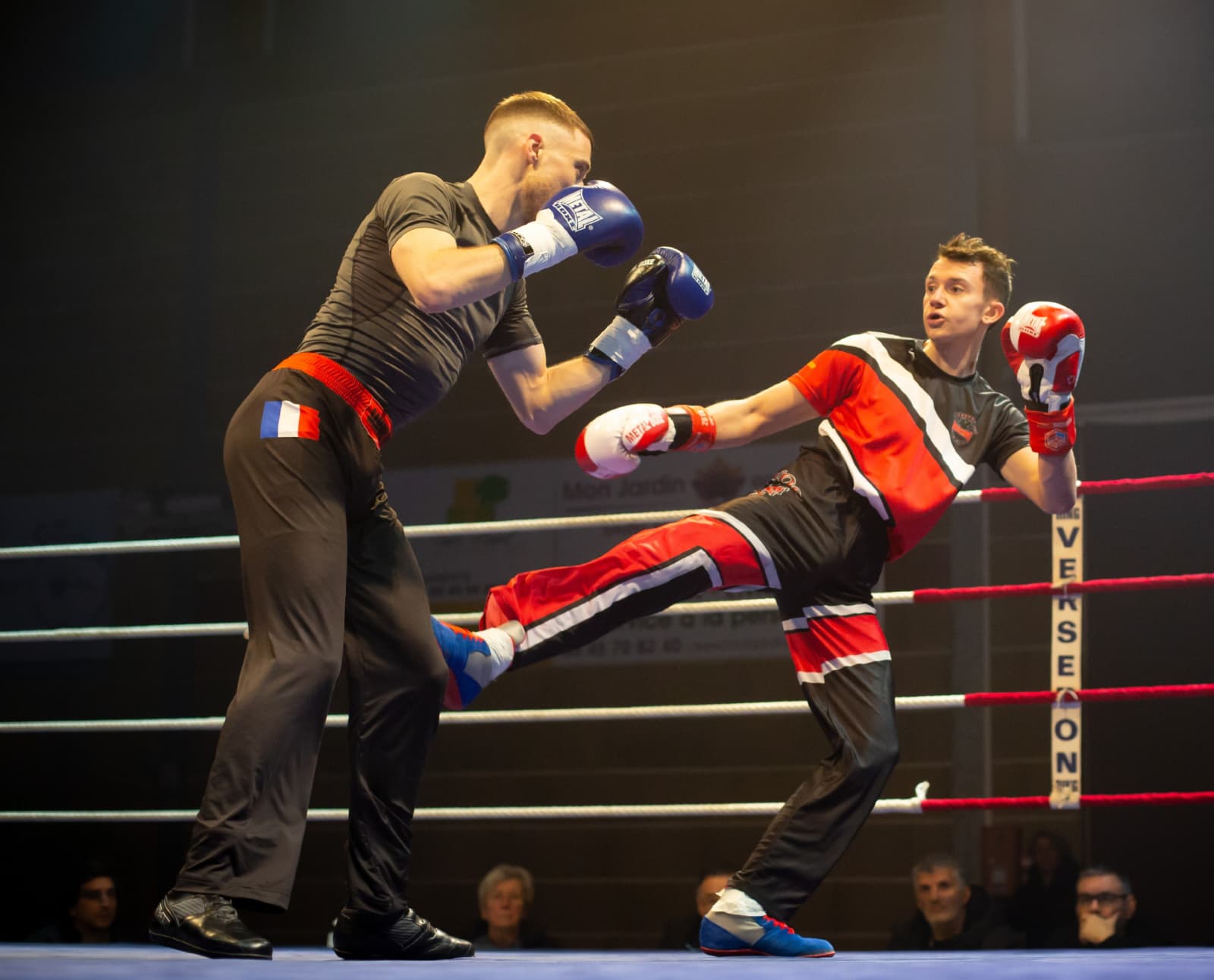 Pinto — boxe française